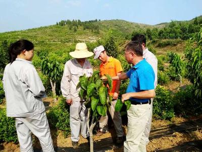 青州:工商资本为三农发展注入“源头活水”
