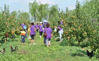 在河北去哪里 秋采摘 这里有30条线路,快收藏