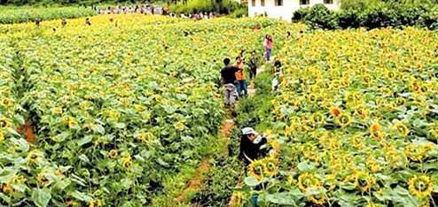 昆明举办公益培训班提升乡村旅游从业人员服务水平