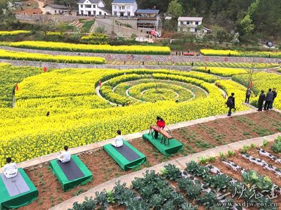 [图文]兴山古夫:党建引领"龙眼风景"这边独好