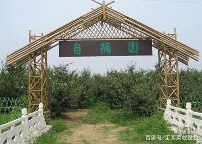 什么是观光旅游型生态农业模式,发展前景如何?