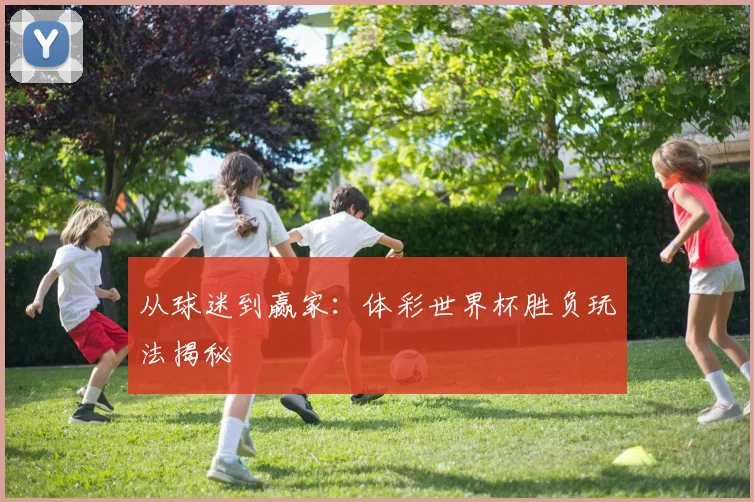 从球迷到赢家:体彩世界杯胜负玩法揭秘
