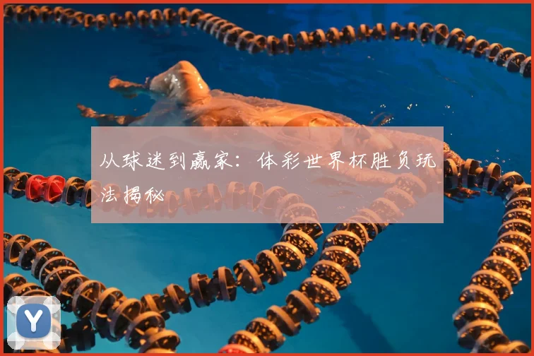 从球迷到赢家:体彩世界杯胜负玩法揭秘