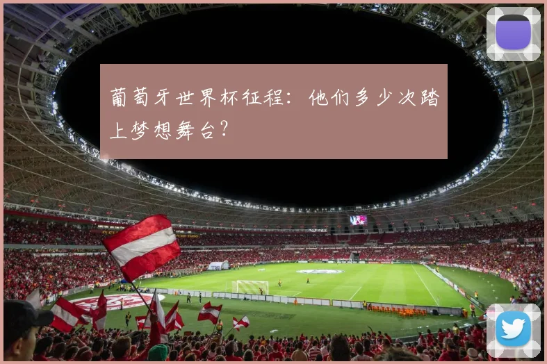葡萄牙世界杯征程：他们多少次踏上梦想舞台？