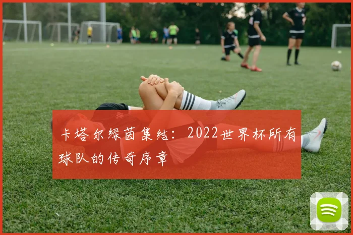 卡塔尔绿茵集结：2022世界杯所有球队的传奇序章