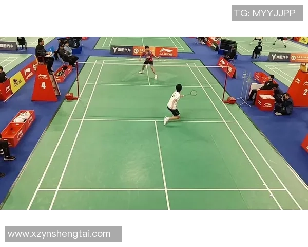 重庆羽毛球队引领最新羽毛球战术十强榜单解析与展望