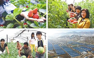 临夏民族日报