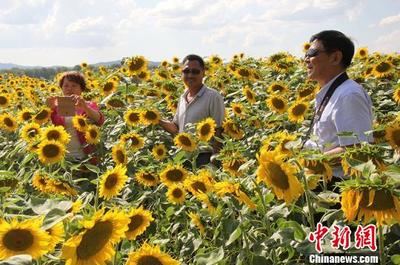 兵团首个国家全域旅游示范区正式诞生